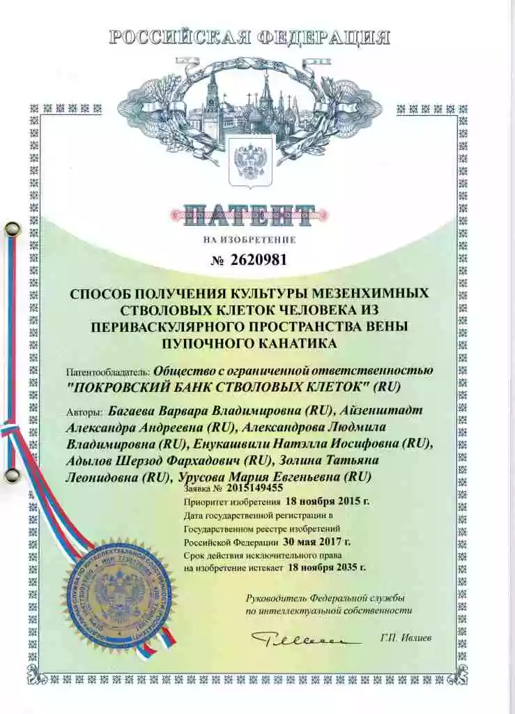 Документ клиники 2